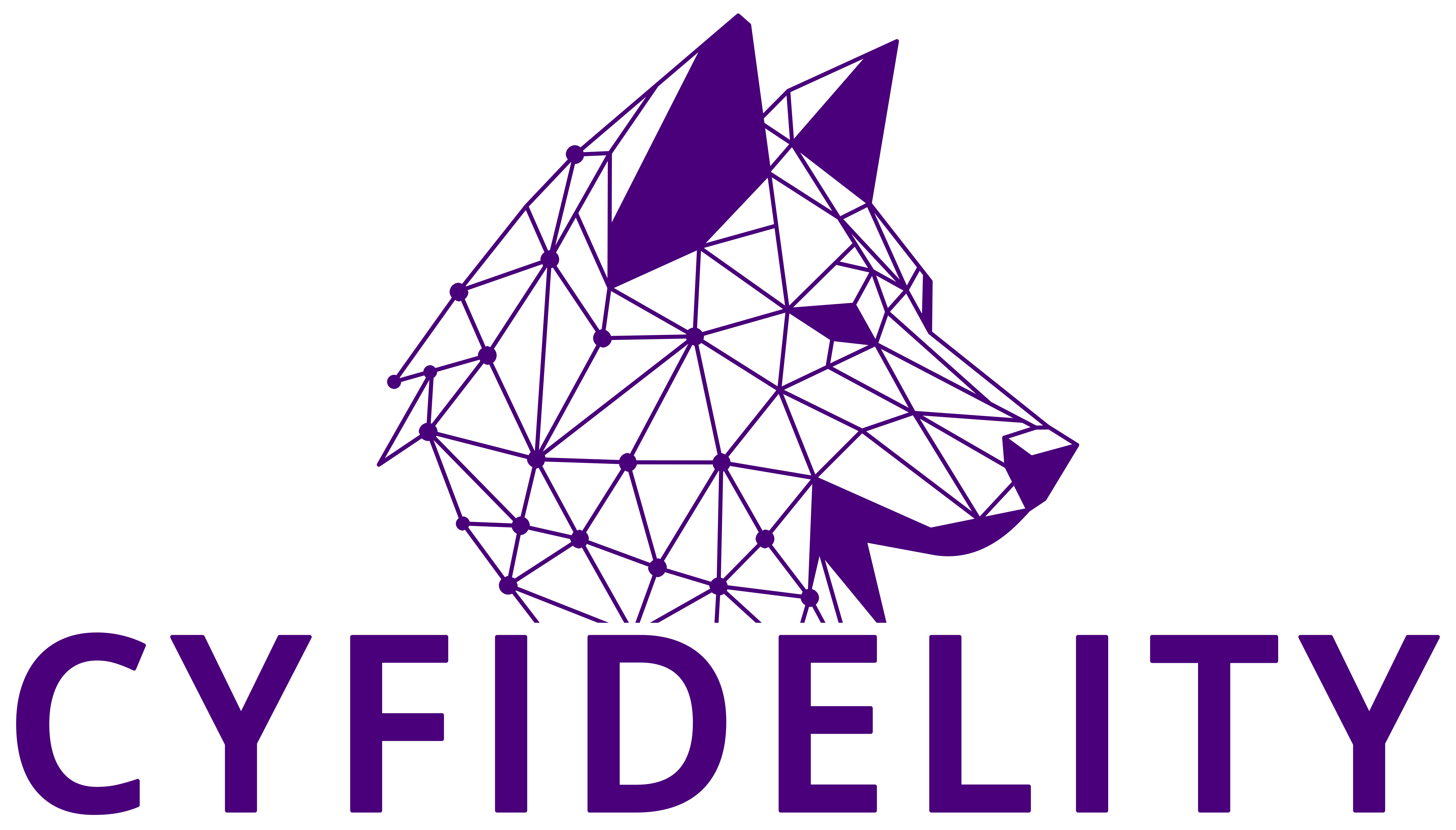 cyfidelity